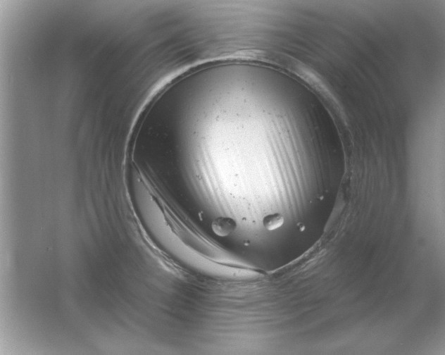 X0000061761332200512161733