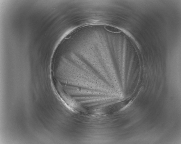 X0000061761333200512161733