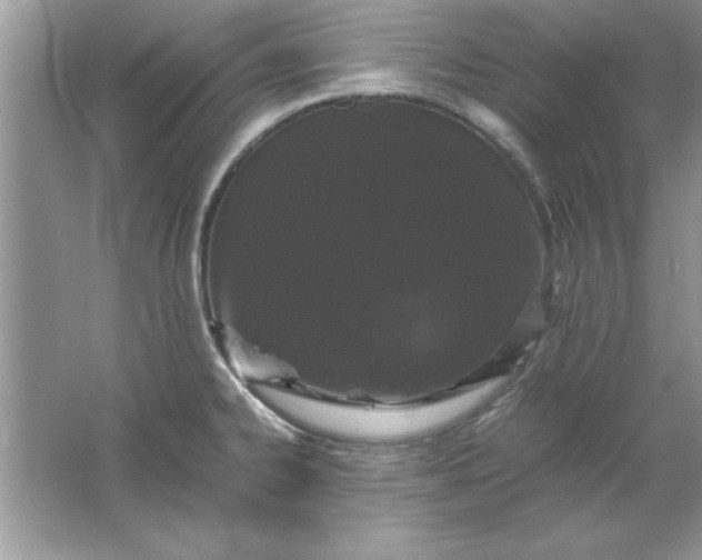 X0000061761334200512161733