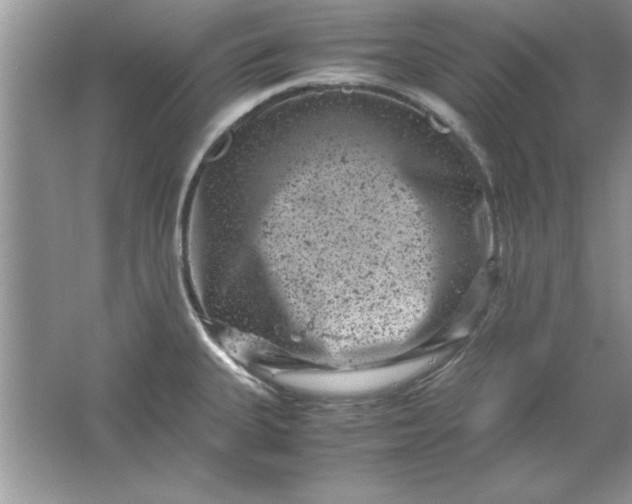 X0000061761335200512161733