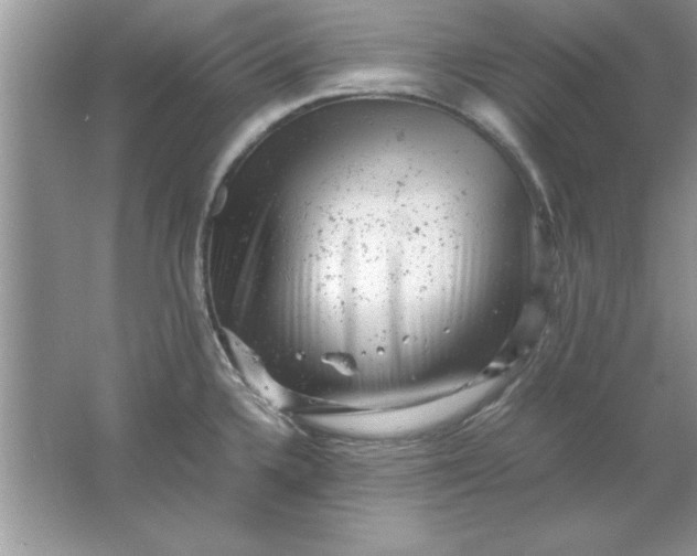 X0000061761336200512161733