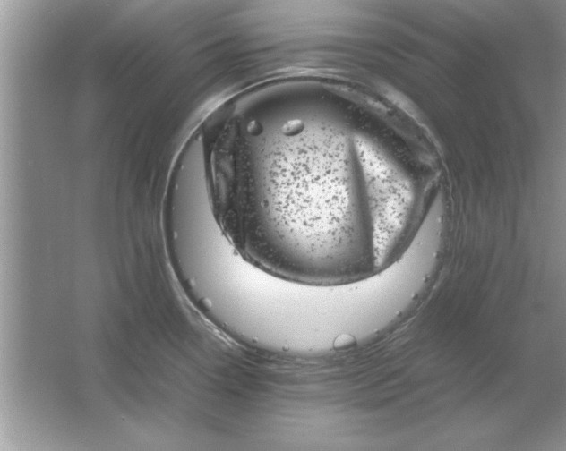 X0000061761338200512161733