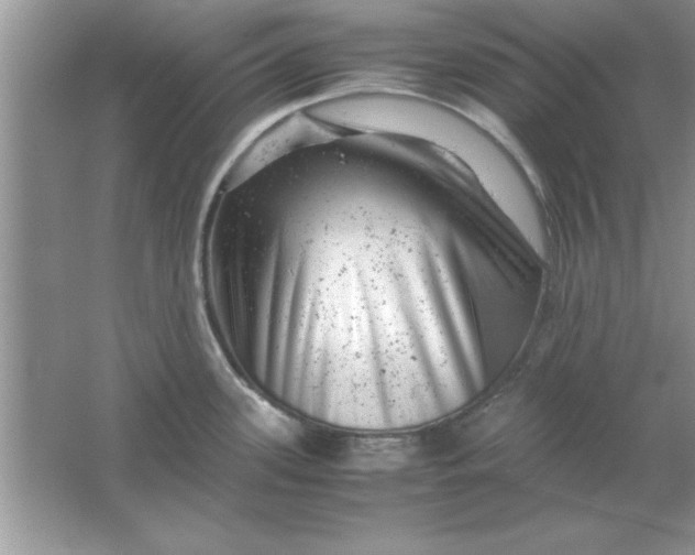 X0000061761339200512161733