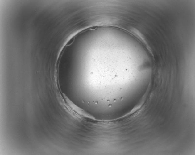 X0000061761340200512161733