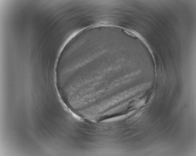 X0000061761341200512161733