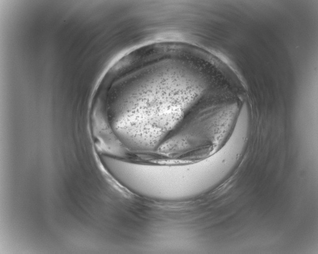 X0000061761342200512161733