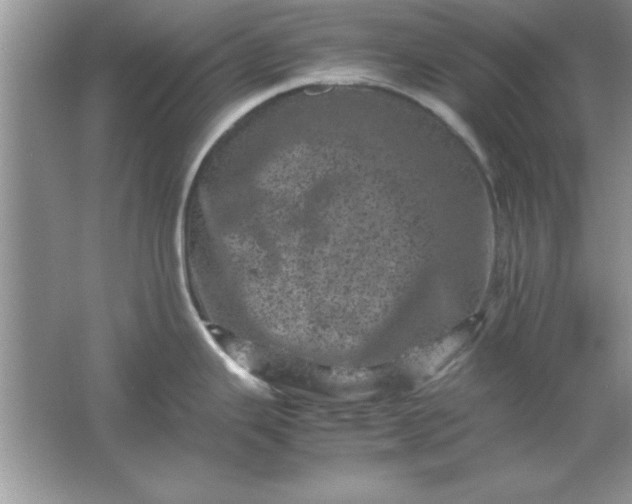 X0000061761343200512161733