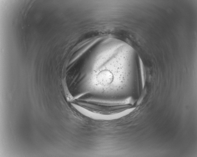 X0000061761345200512161732