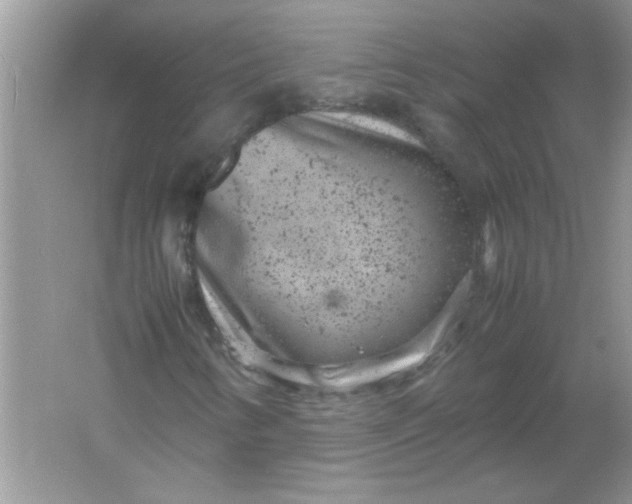 X0000061761346200512161732