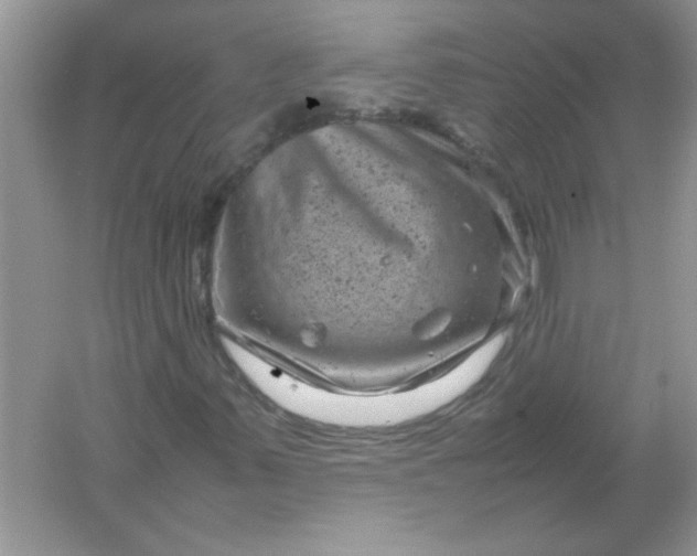 X0000061761347200512161732