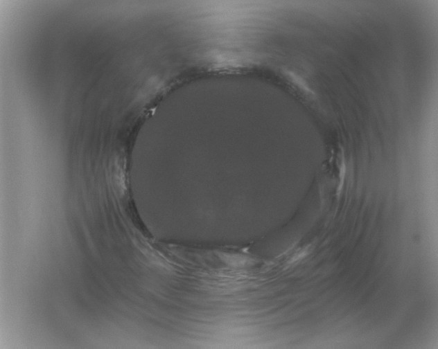 X0000061761348200512161732