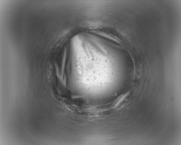 X0000061761349200512161732