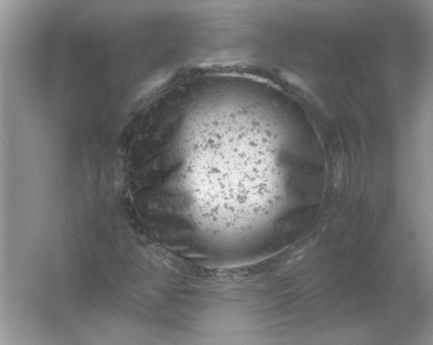 X0000061761350200512161732