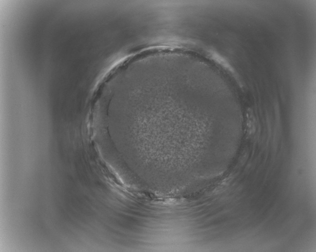 X0000061761352200512161732