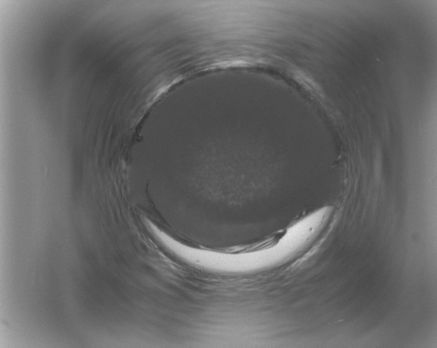 X0000061761353200512161732