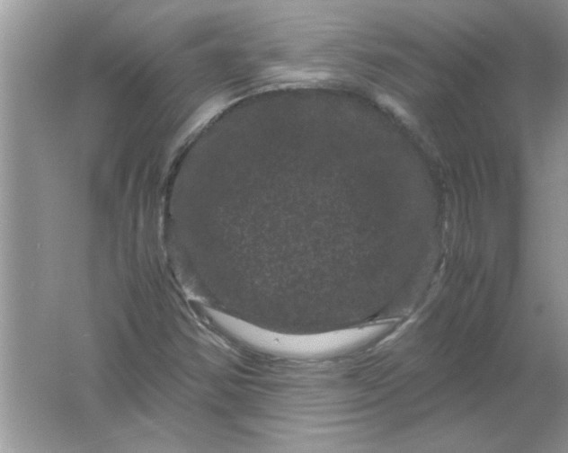 X0000061761354200512161732