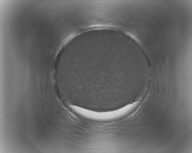 X0000061761357200512161732