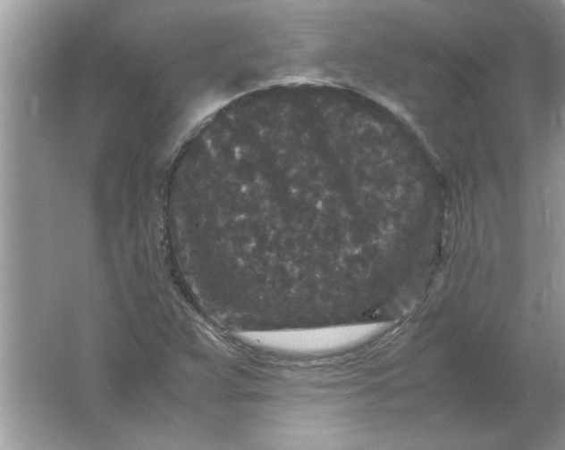 X0000061761359200512161732