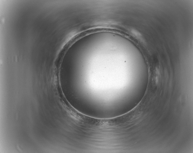 X0000061761360200512161732