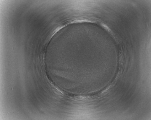 X0000061761361200512161732