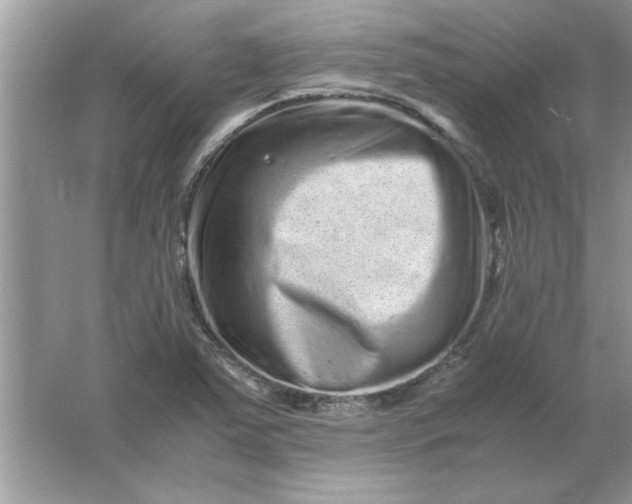 X0000061761363200512161732