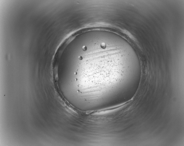 X0000061761364200512161732