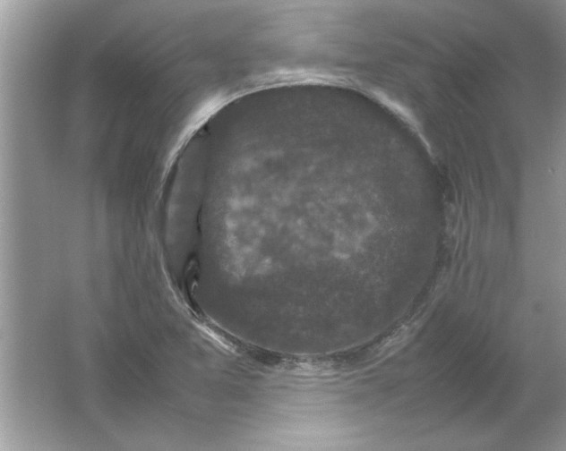 X0000061761365200512161732