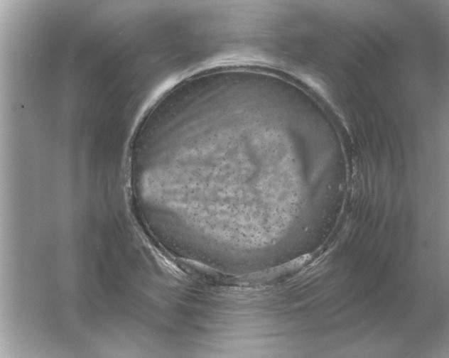 X0000061761366200512161732