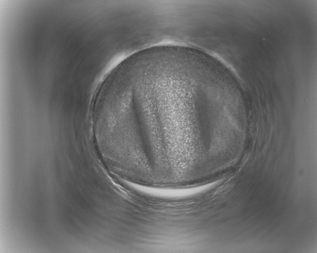 X0000061761367200512161732