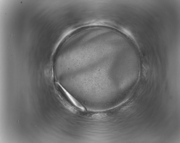 X0000061761368200512161732