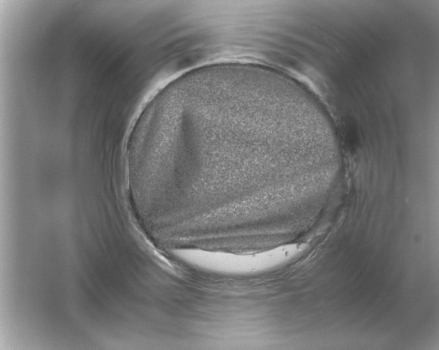 X0000061761371200512161732