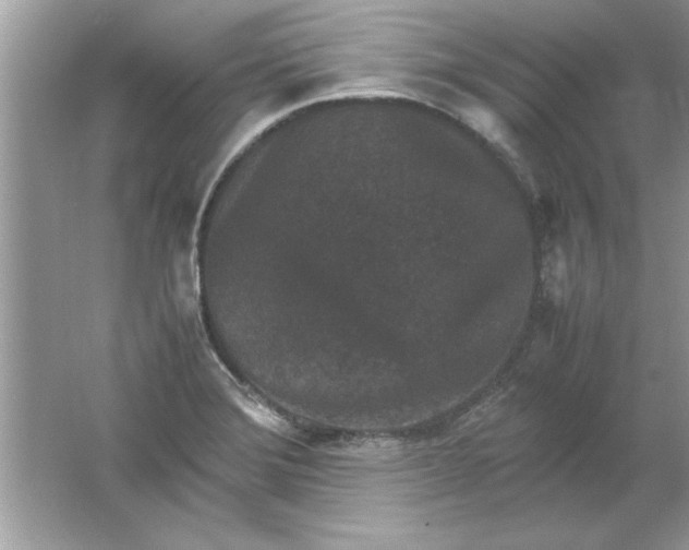 X0000061761372200512161732