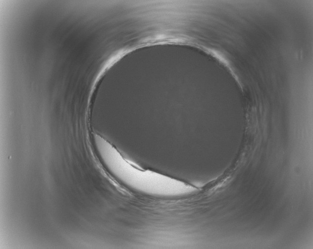 X0000061761373200512161732