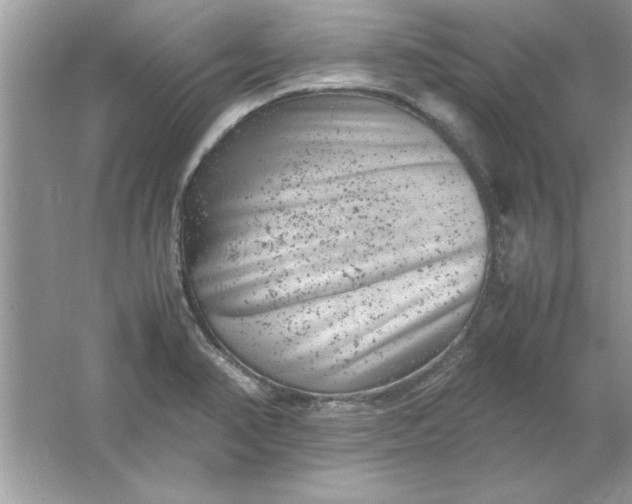 X0000061761374200512161732