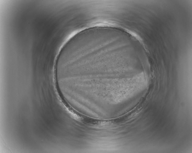 X0000061761375200512161732