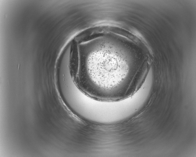 X0000061761376200512161732