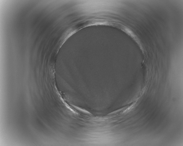 X0000061761377200512161732