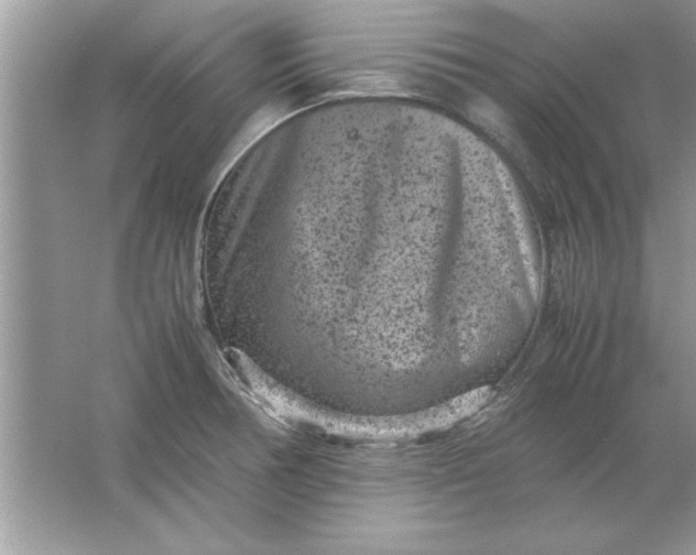 X0000061761378200512161732