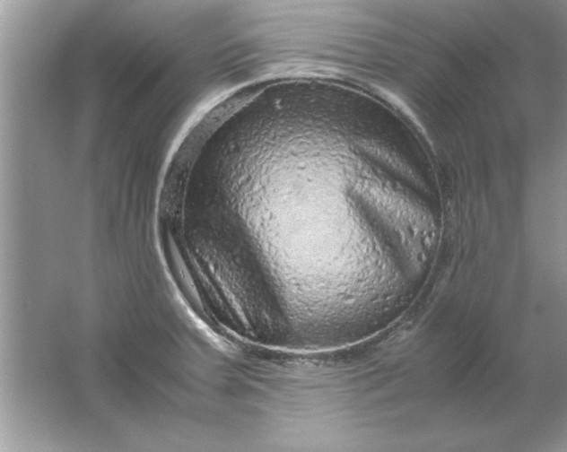 X0000061761379200512161732