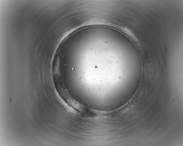 X0000061761380200512161732