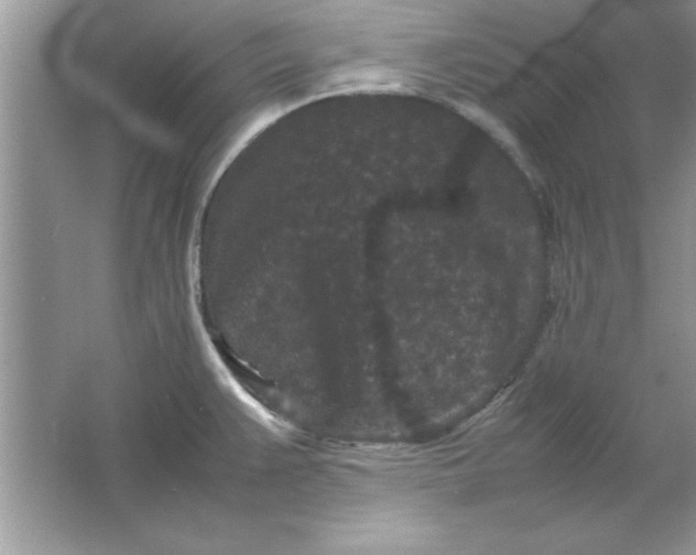 X0000061761383200512161732