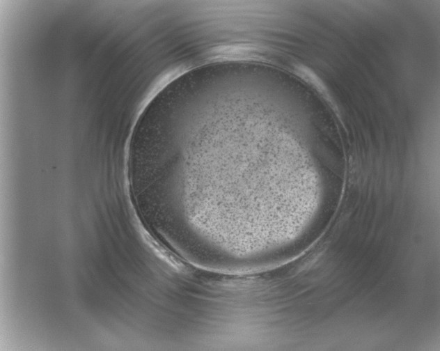 X0000061761386200512161732