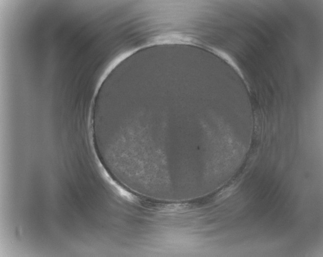 X0000061761387200512161732