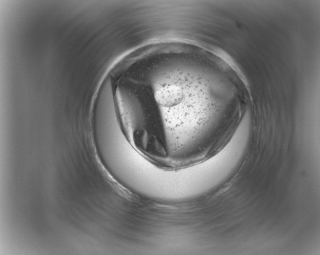 X0000061761388200512161732