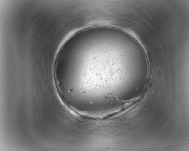 X0000061761389200512161732