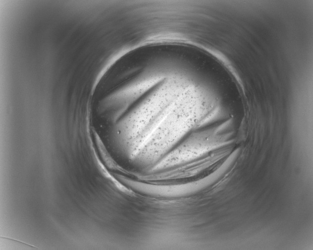 X0000061761390200512161732