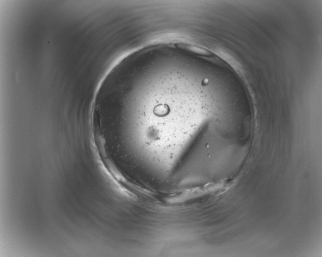 X0000061761392200512161732