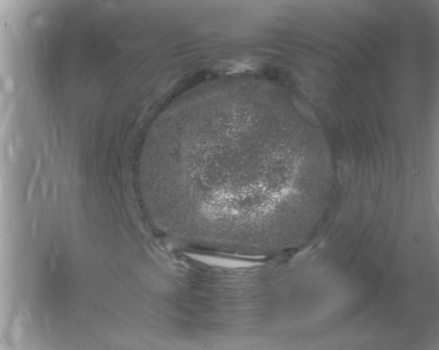 X0000061761393200512161731