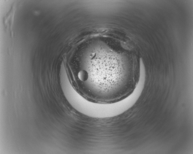 X0000061761394200512161731