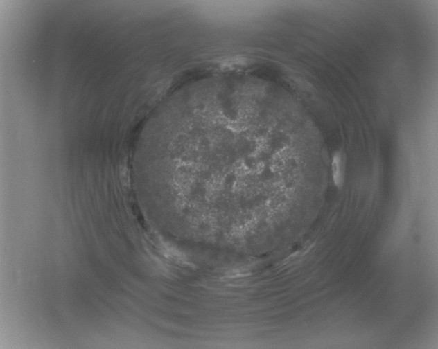 X0000061761395200512161731